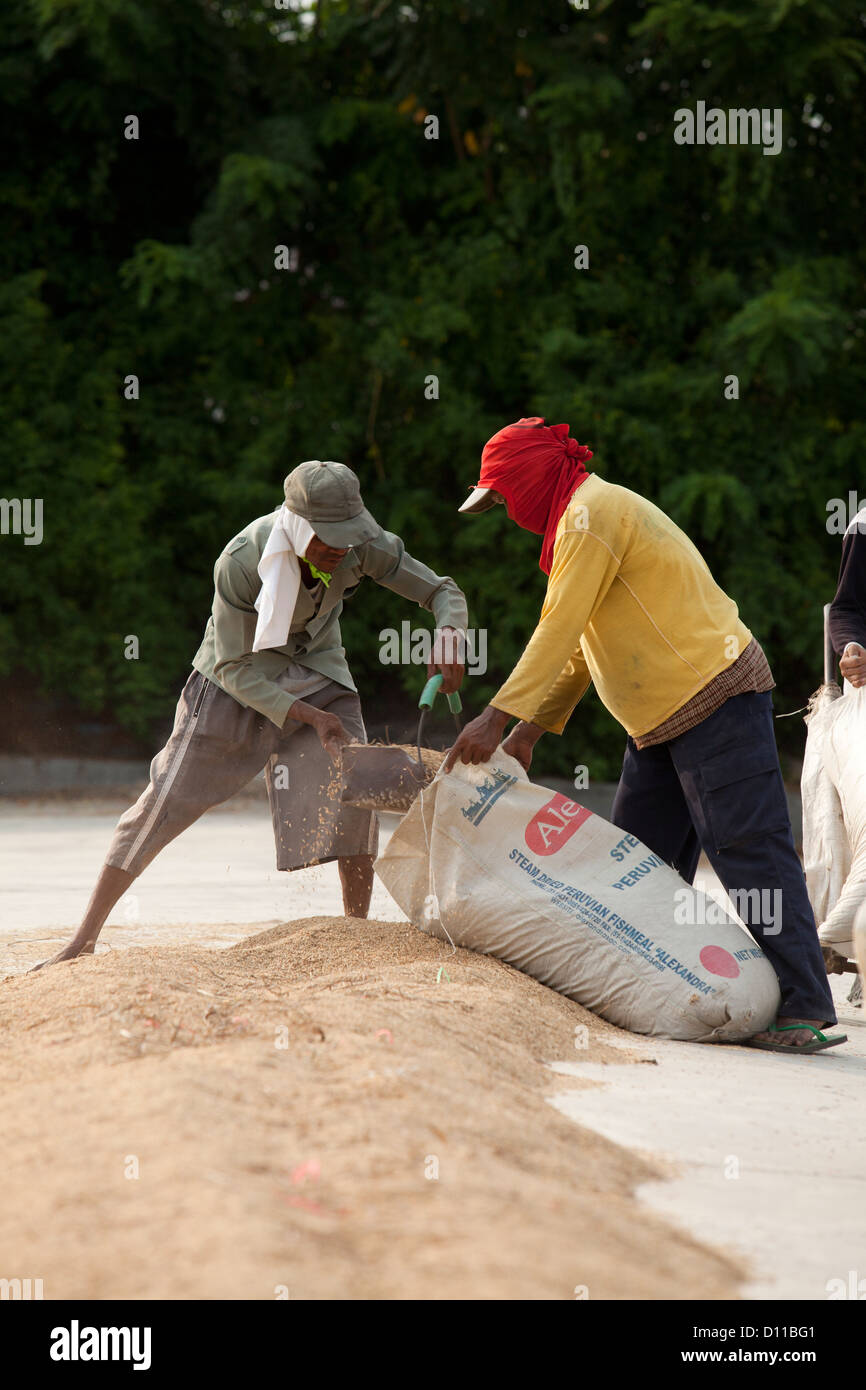 Bagged rice hi-res stock photography and images - Alamy