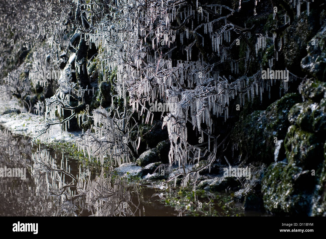 Devon hedge hi-res stock photography and images - Alamy