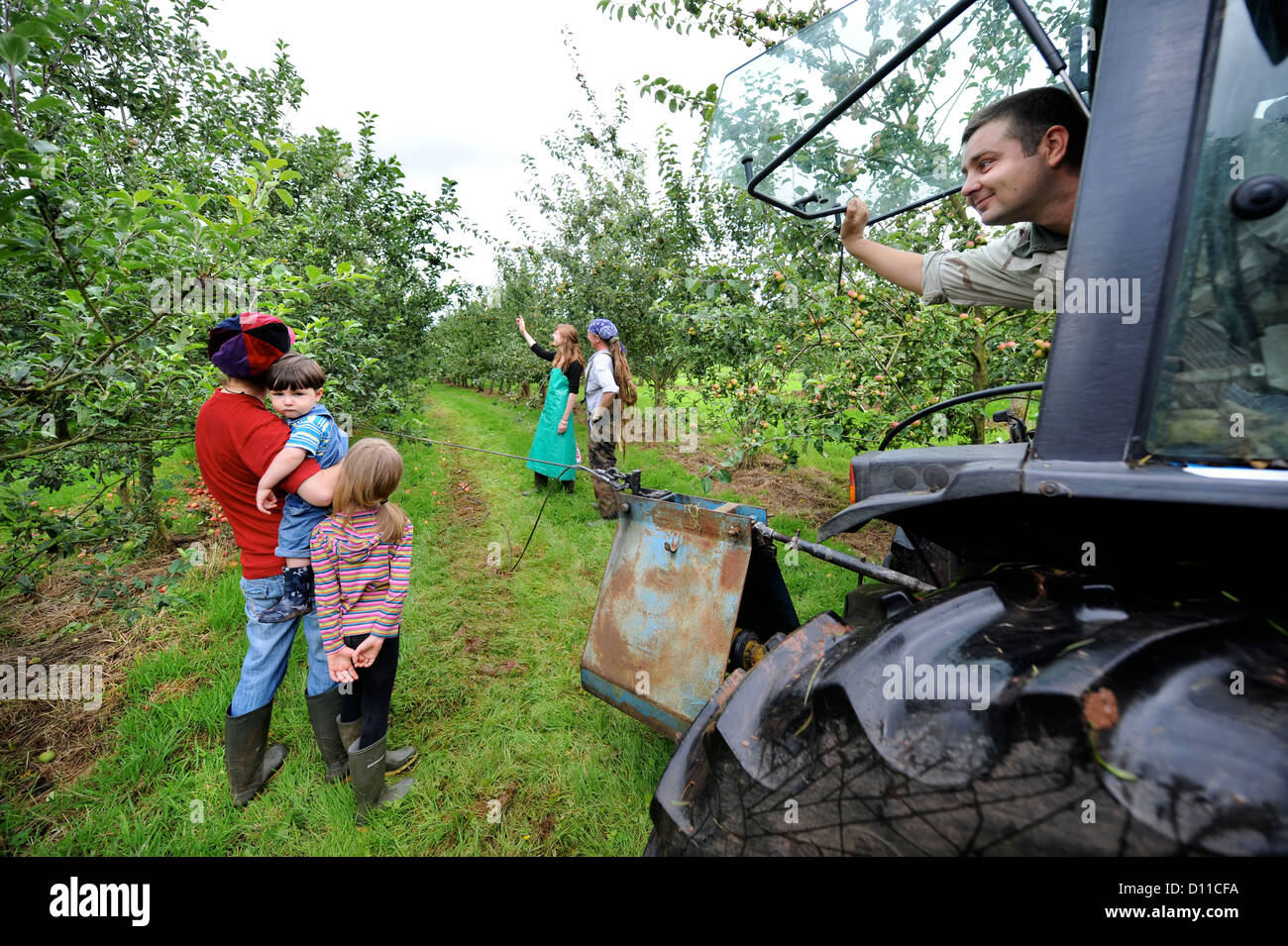 Cider making at Broome Farm near Ross-on-Wye UK where there is free camping and tasting to volunteer apple pickers - a farmer wo Stock Photo