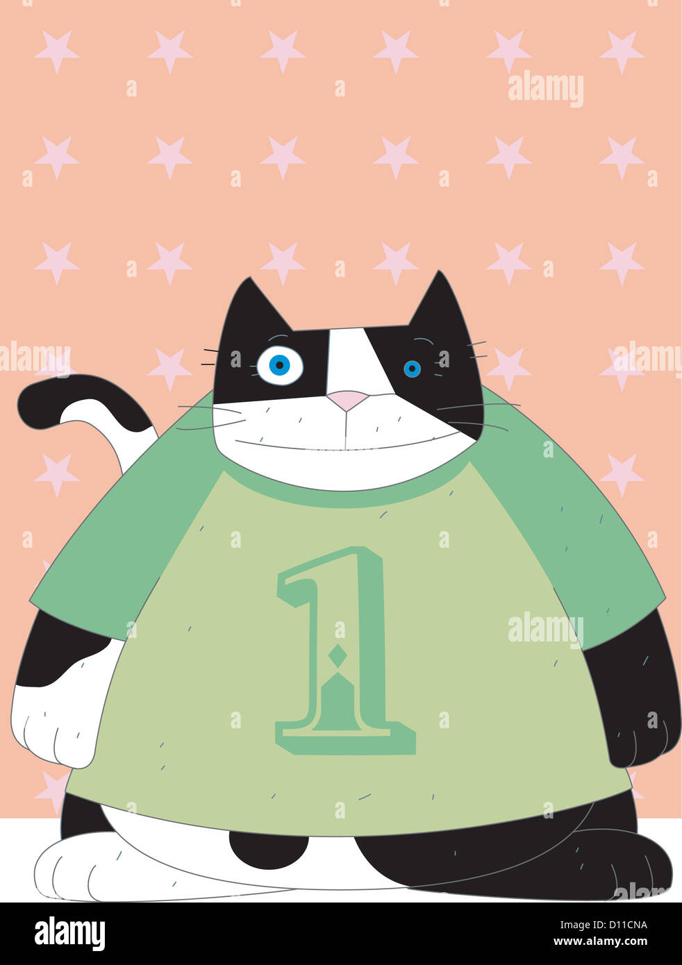how old is a one year old cat
