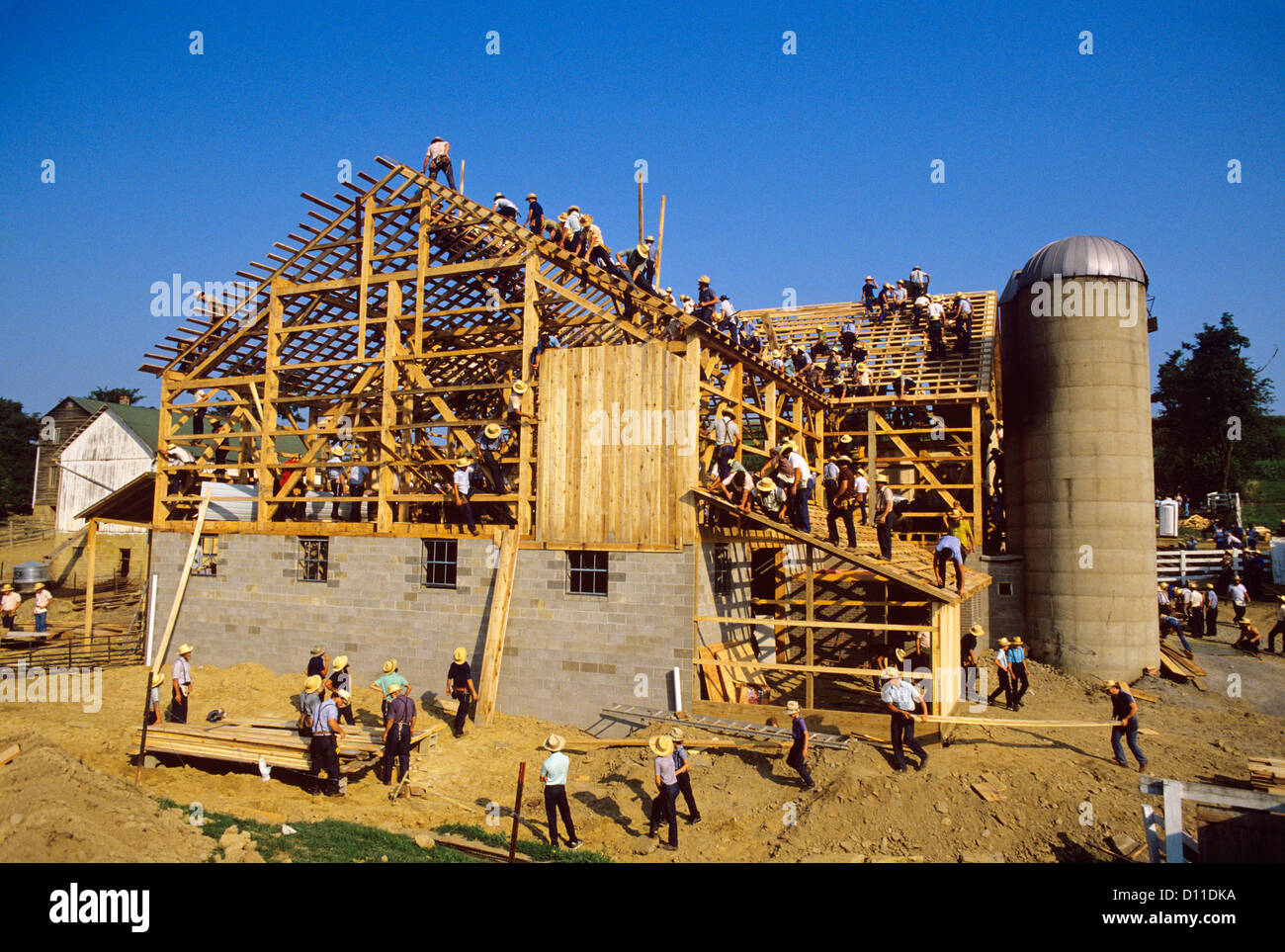 amish barn raising stock