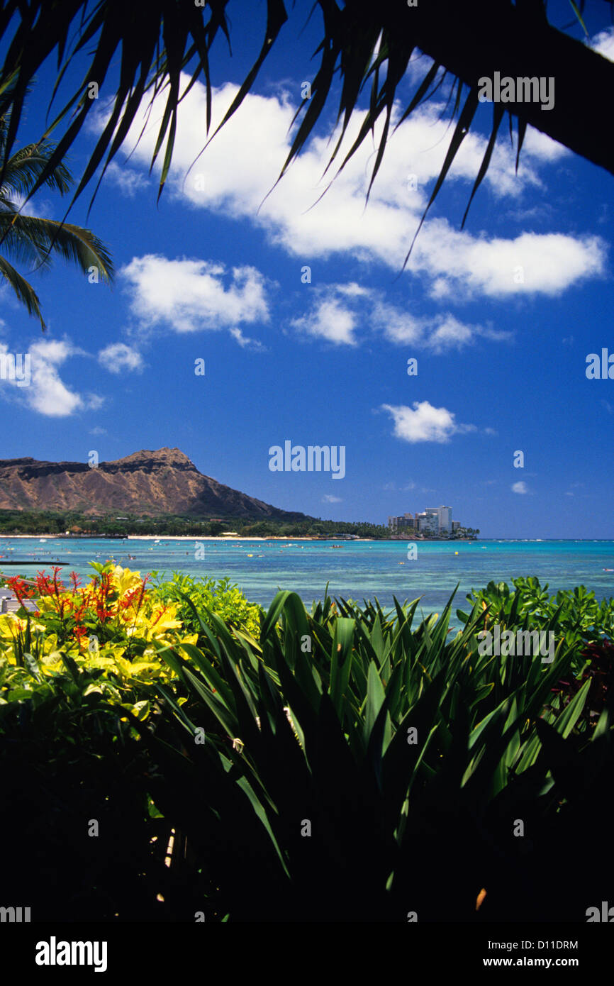 DIAMOND HEAD ON WAIKIKI BEACH OAHU HAWAII Stock Photo - Alamy