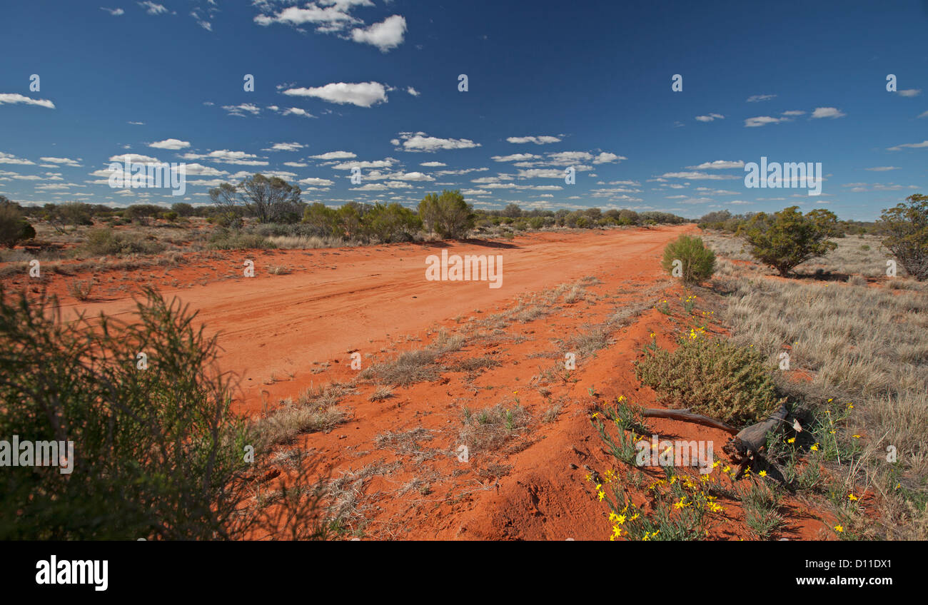 Australian outback road bordered with yellow wildflowers and low native vegetation in Sturt National Park, outback NSW Australia Stock Photo