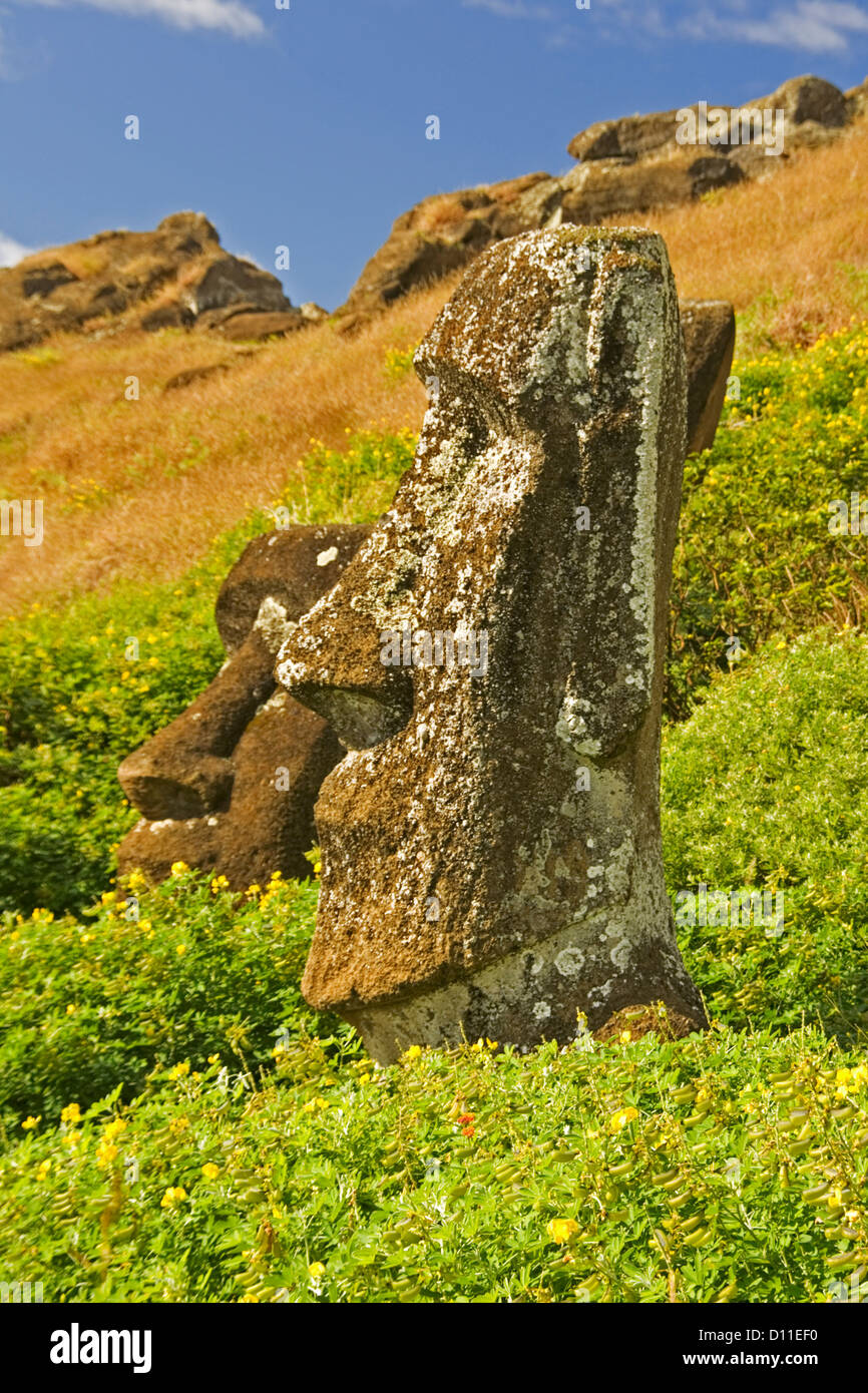 Easter island statues hires stock photography and images Alamy