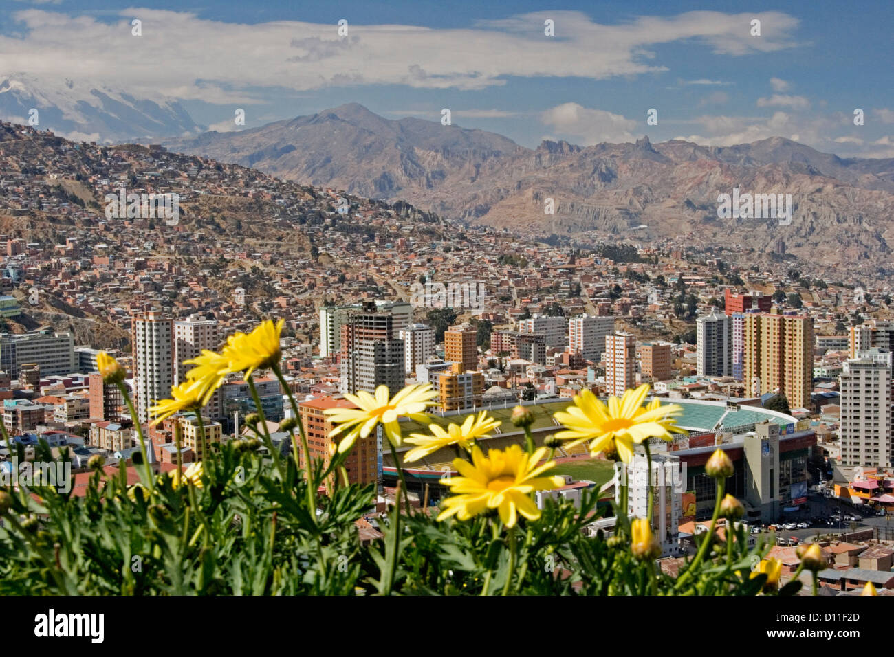 View of Bolivian city of La Paz with skyscrapers in valley surrounded by snow capped Andes Mountains and flowers in foreground Stock Photo