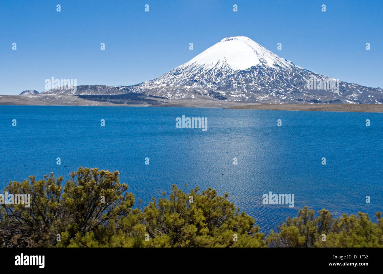 Mountain landscape with snow capped volcano Parinacota rising high above calm blue waters of Lake Chungara in northern Chile Stock Photo