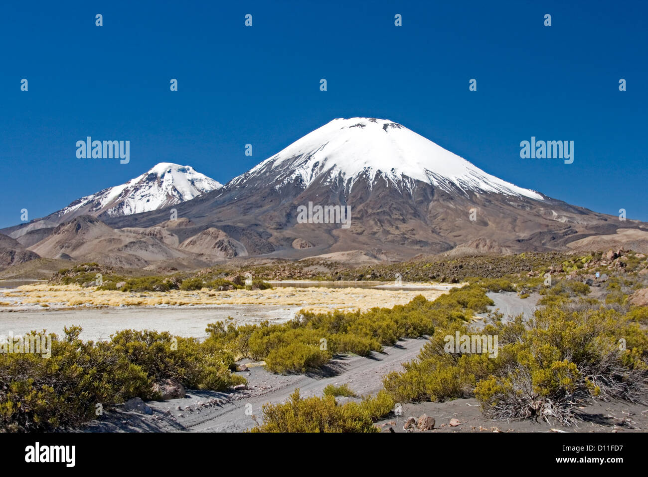 Track leading across the landscape towards snow capped volcanoes Parinacota and Pomarape near Putre in Chile South America Stock Photo
