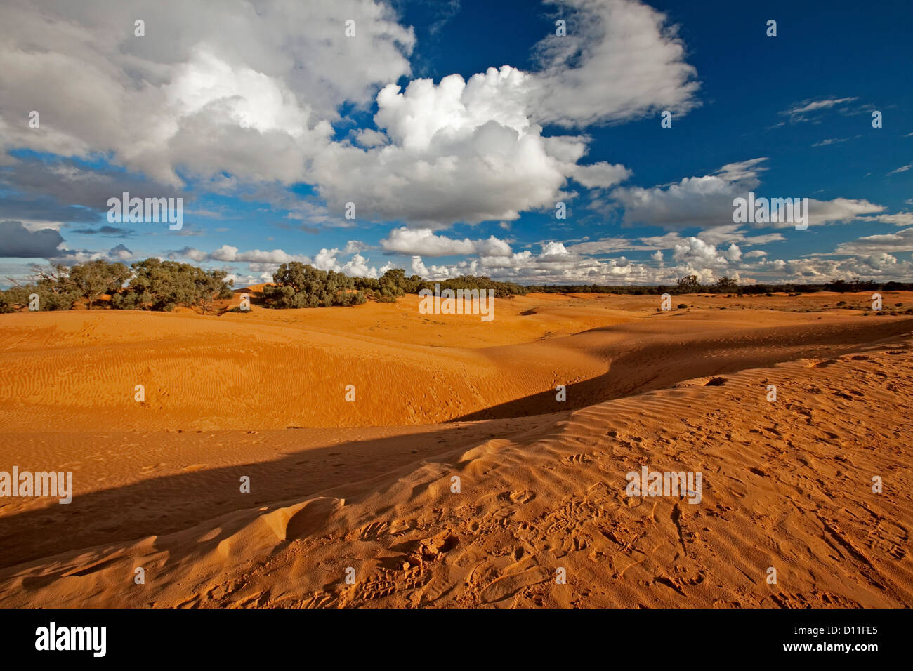 Desert landscape with Perry sandhills / sand dunes under a blue sky at Wentworth, NSW in the Australian outback Stock Photo