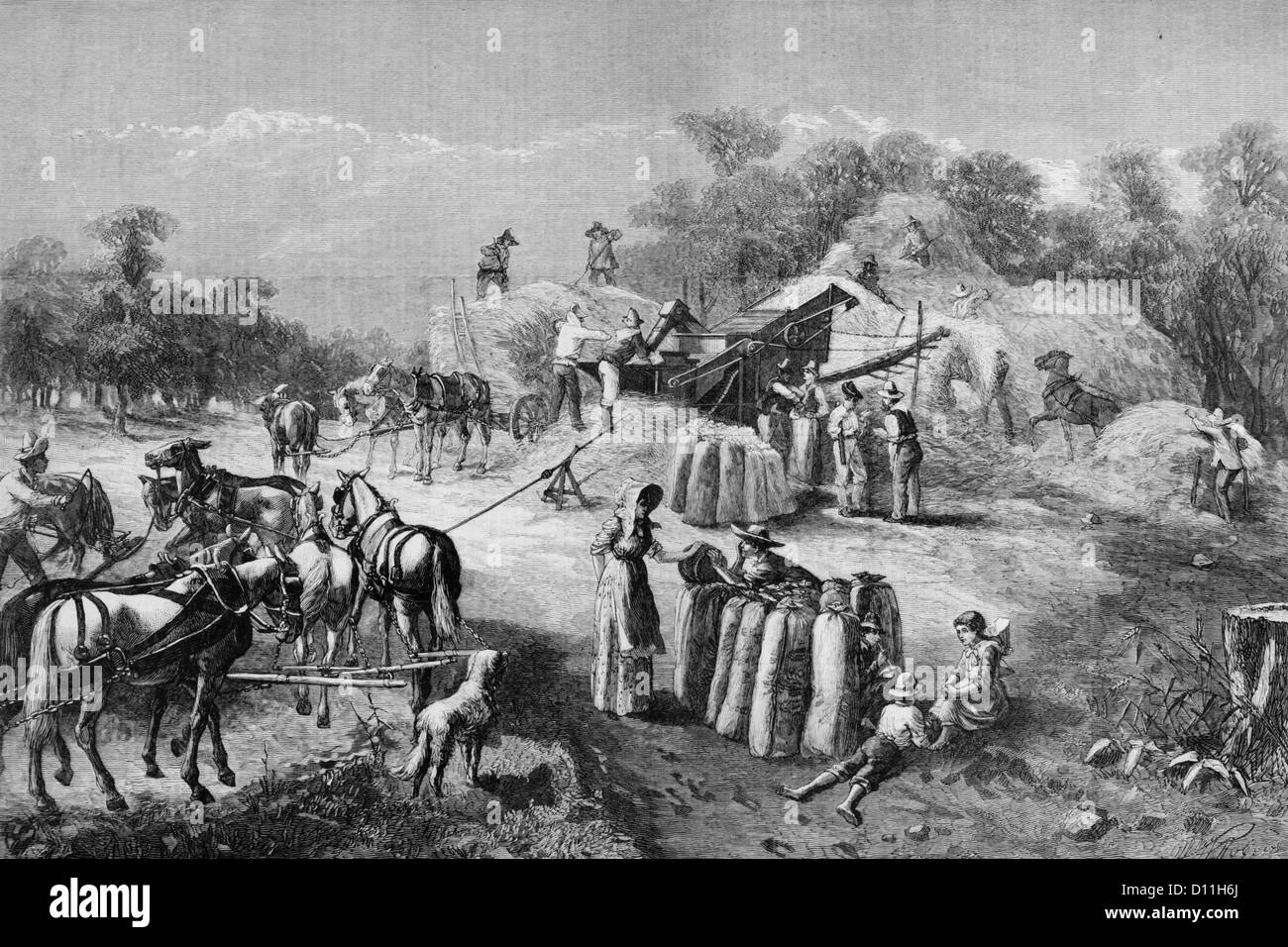 1870s 1878 FARM HARVEST SCENE THRESHING GRAIN ILLUSTRATION BY O. D. STEINBERGER Stock Photo