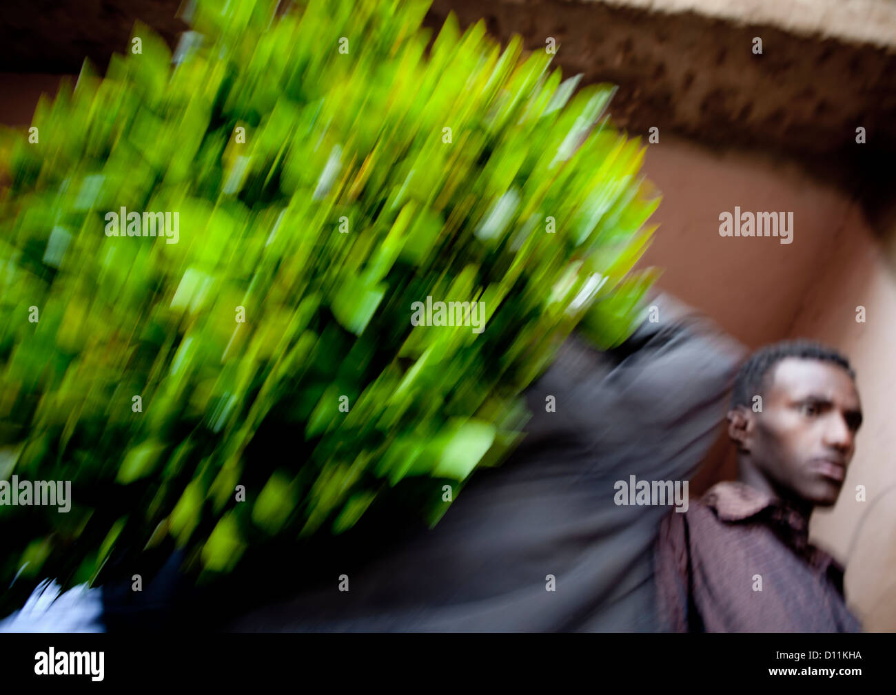 Khat market hires stock photography and images Alamy