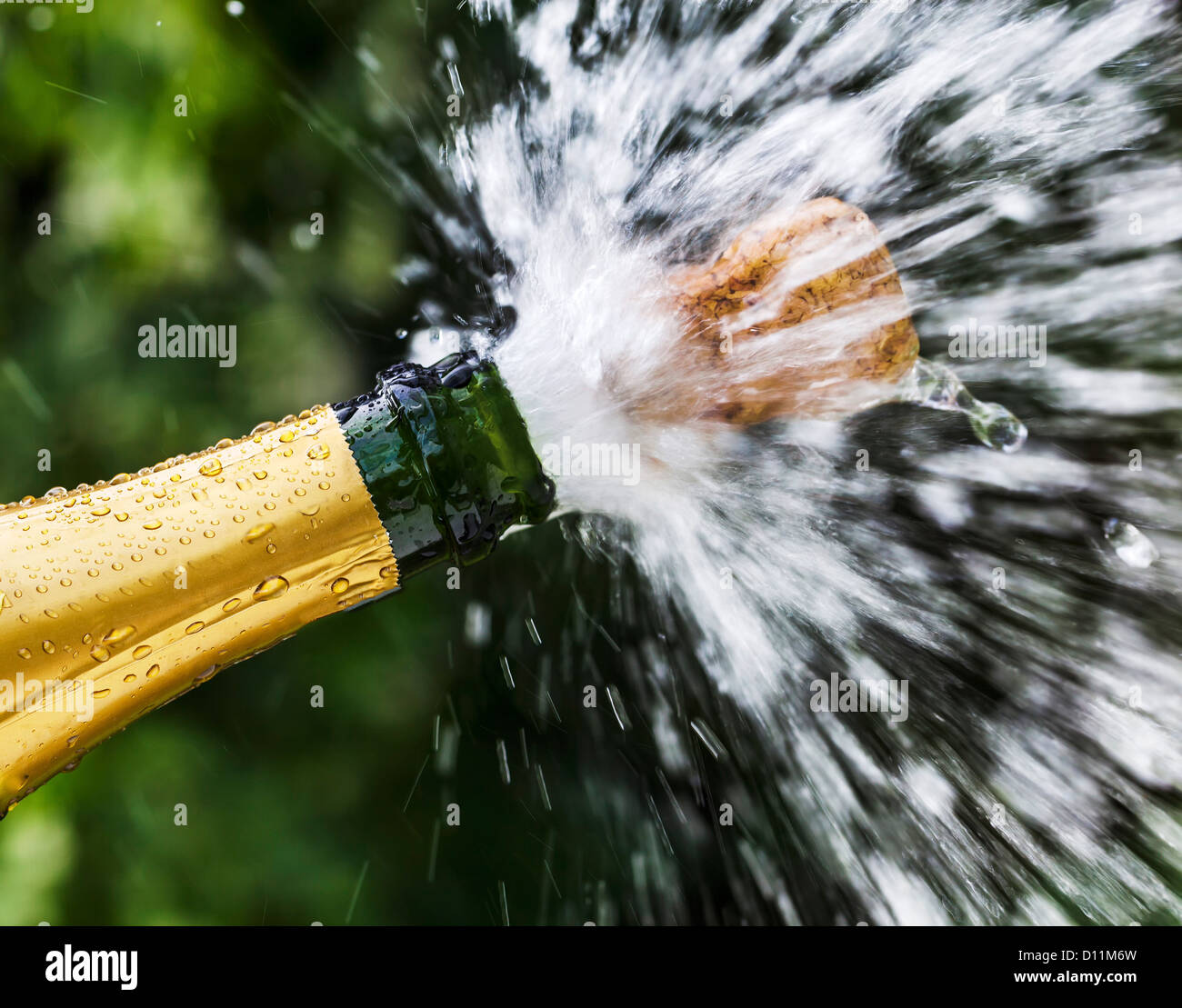 Opened champagne bottle with flying cork Stock Photo Alamy