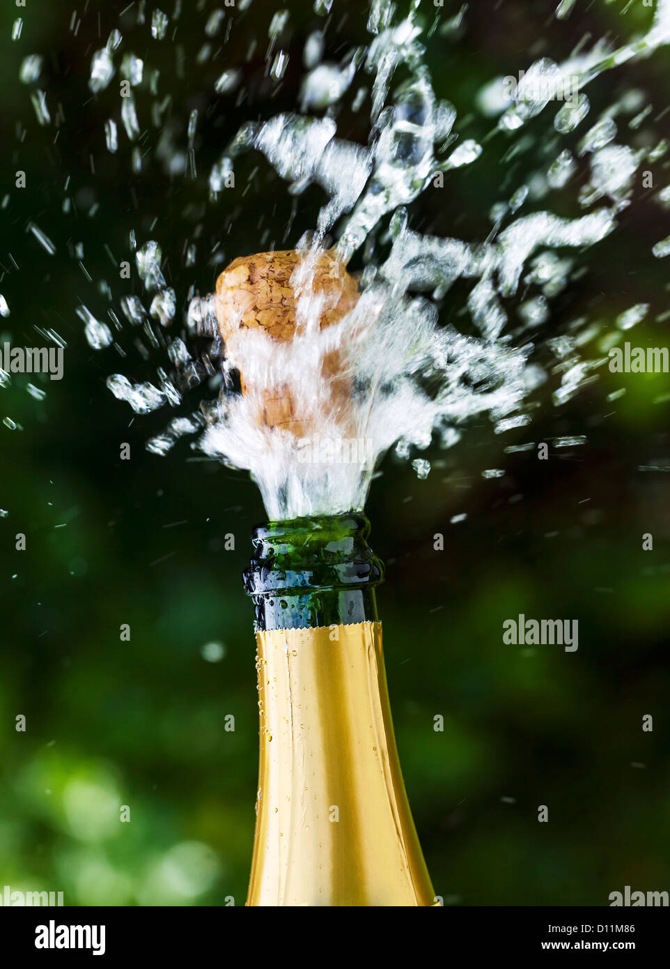 Opened champagne bottle with flying cork Stock Photo