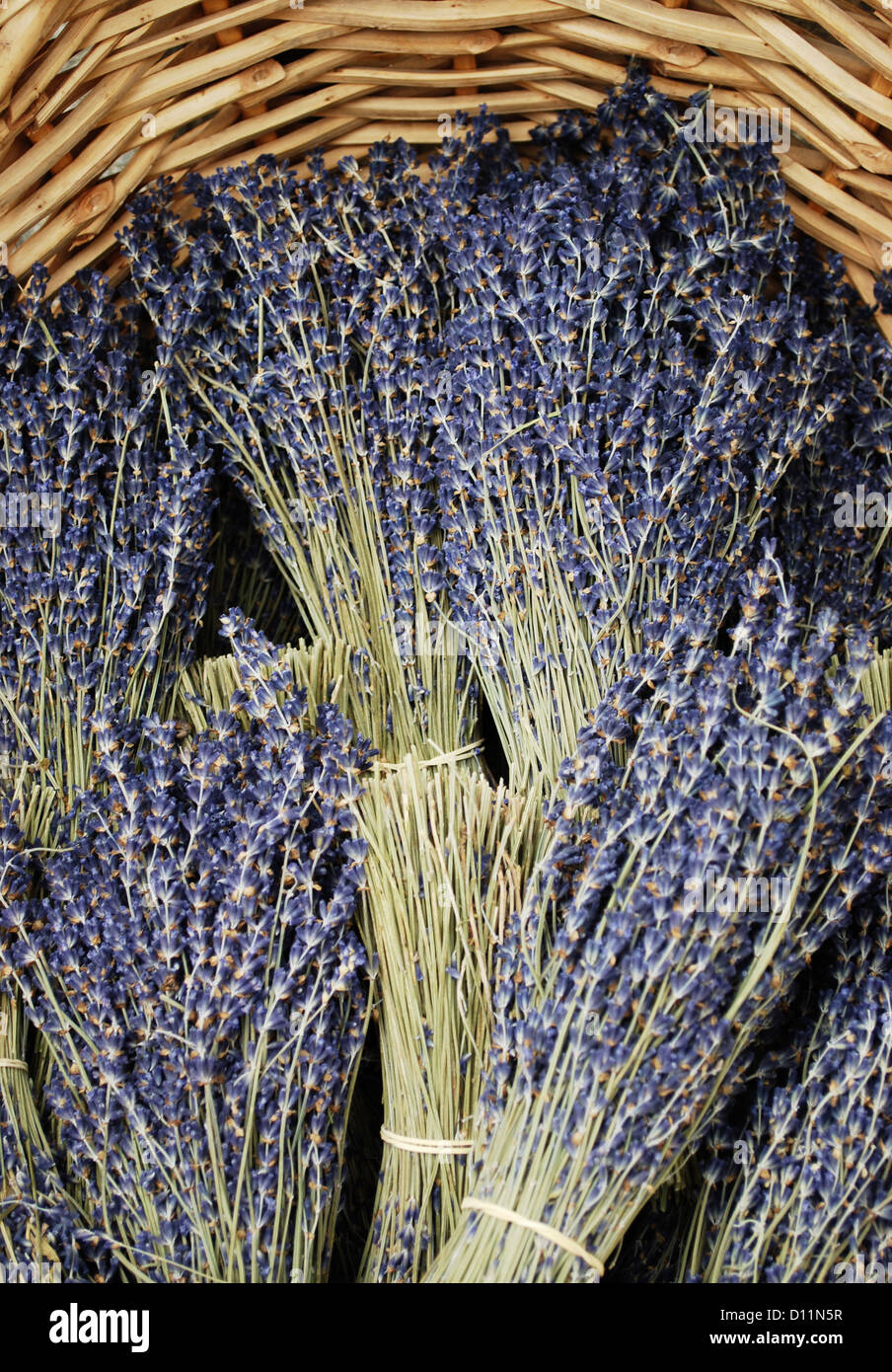 Bunches of dried lavender flowers for sale in Provence, France Stock
