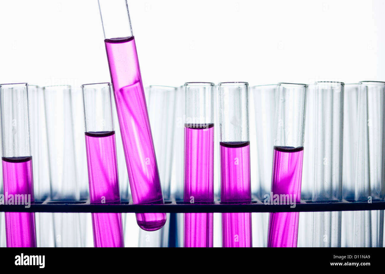Test tubes with pink solution, close up Stock Photo Alamy