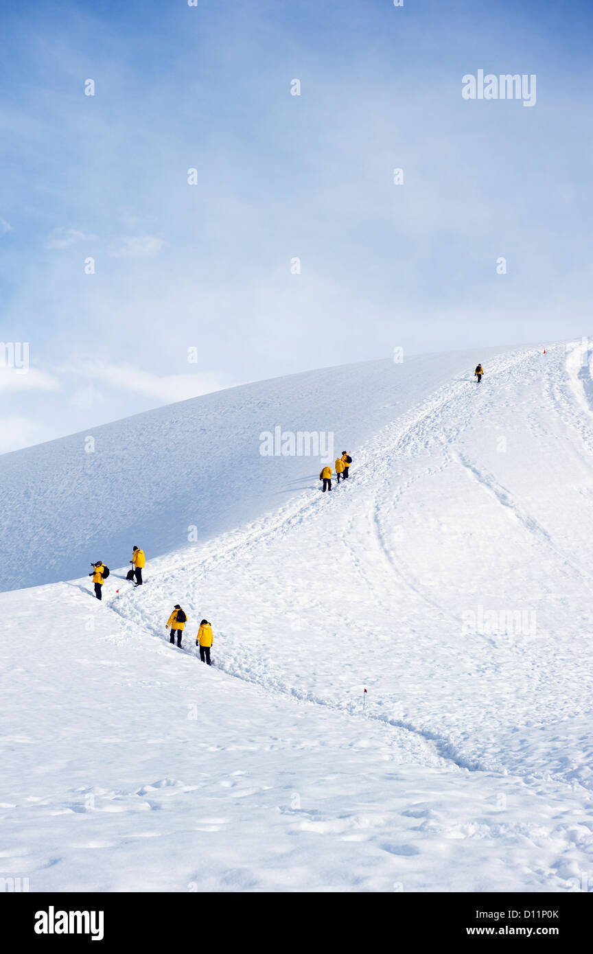Tourists In Yellow Jackets Climb A Frozen Hill; Antarctica Stock Photo