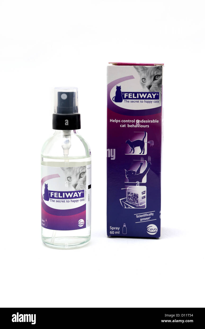 Feliway Spray Helps Control Undesirable Cat Behaviour Stock Photo
