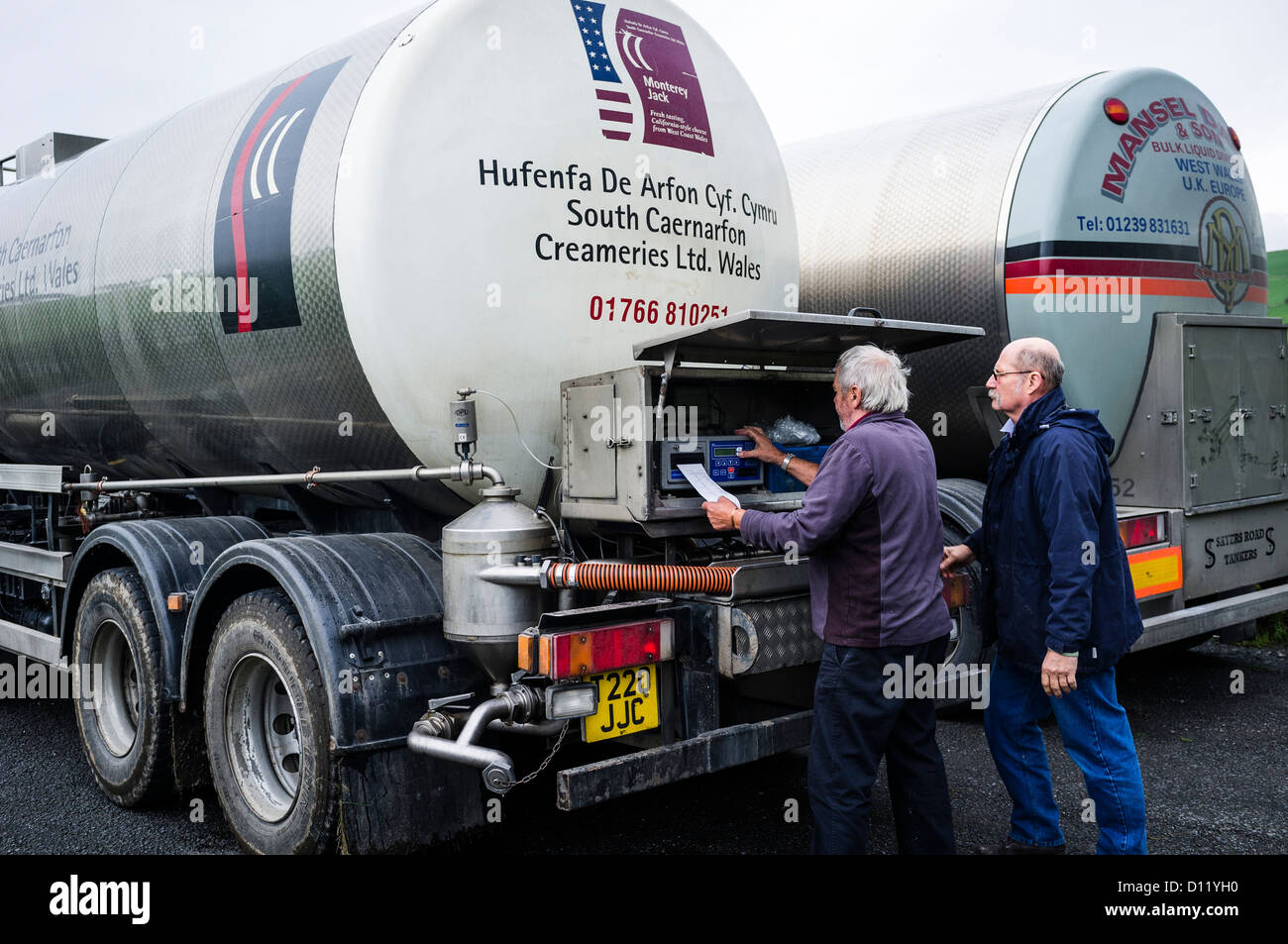 Two bulk tanker drivers transferring milk from one lorry to another before delivering it to a cheese processing factory, Wales UK Stock Photo