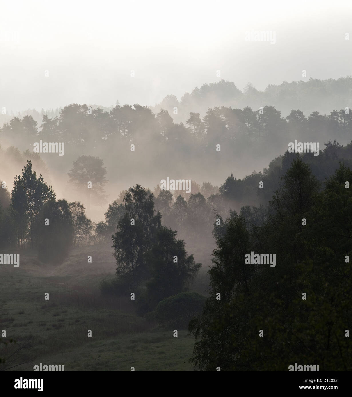 Misty morning in cultural landscape Stock Photo