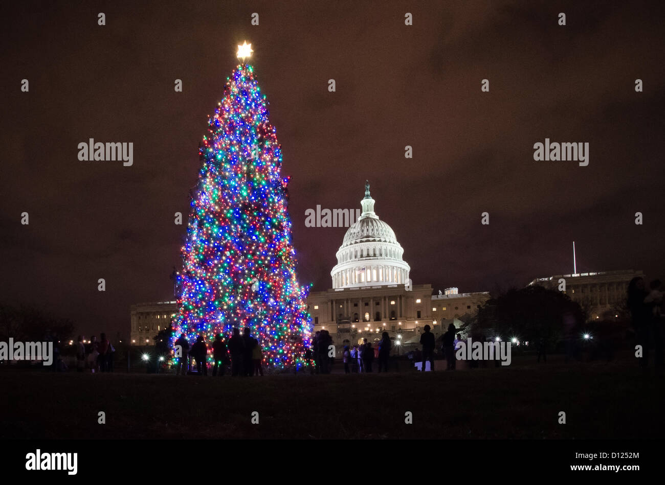 The US Capitol Christmas tree is seen after being lit by House Speaker