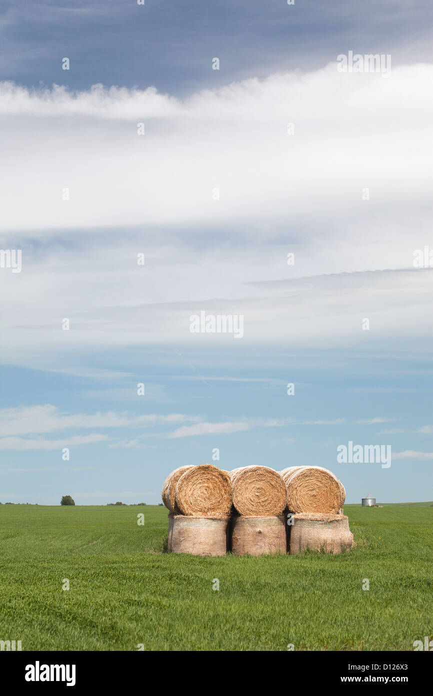 Hay Bales Stacked In A Field With Clouds And Blue Sky East Of Airdrie ...