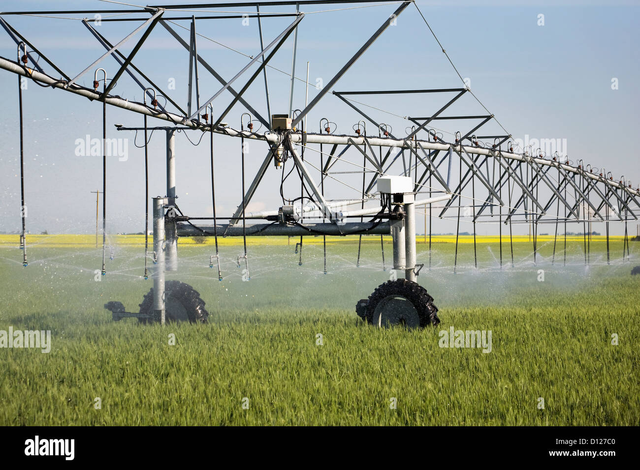 Large irrigation system spraying in a green wheat field with a