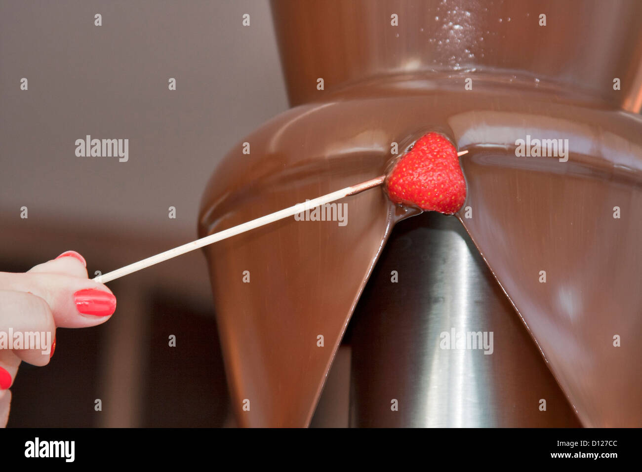Strawberry that has just been freshly dipped in warm milk chocolate fondue. Stock Photo