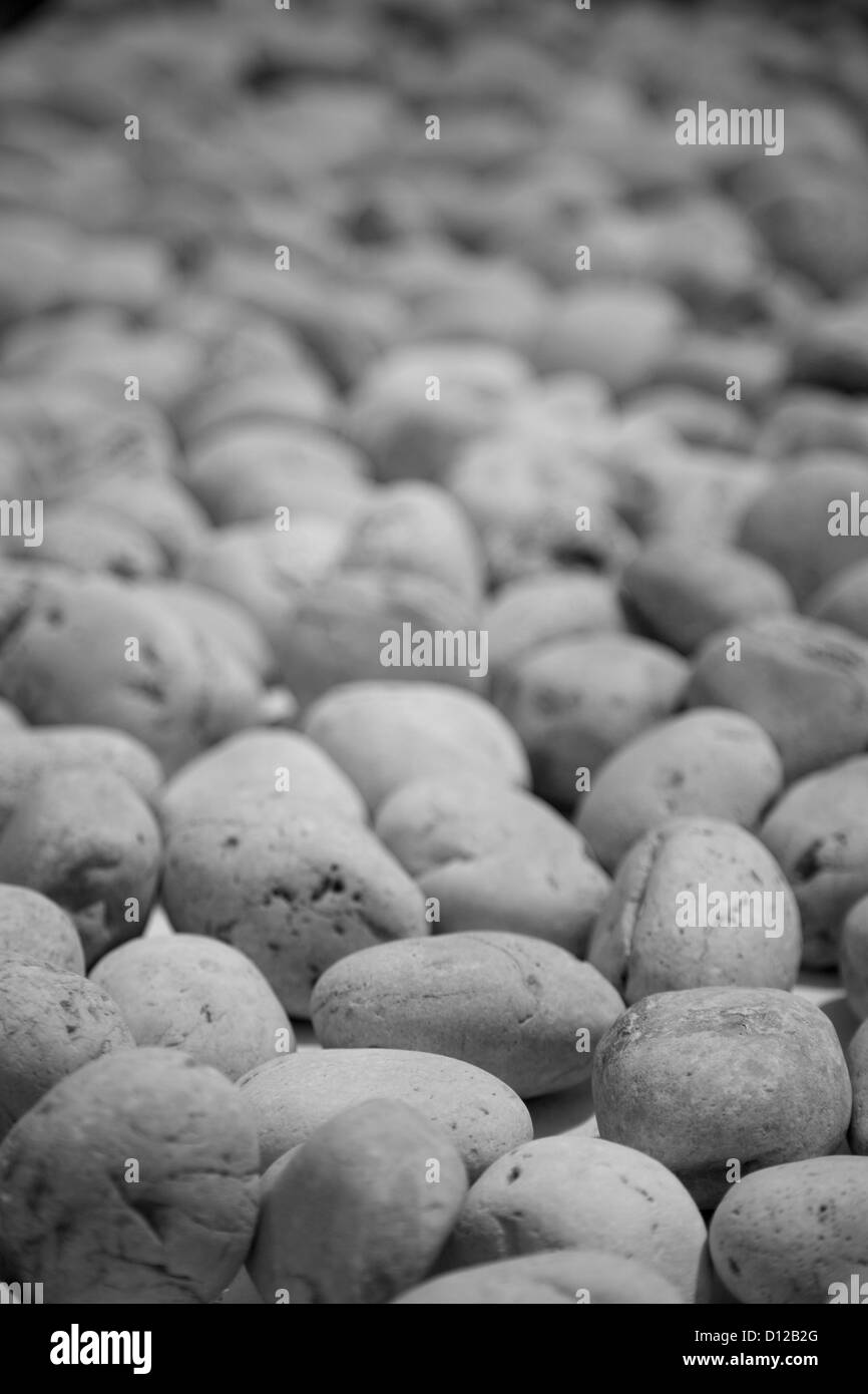 Backdrops Black and White Stock Photos & Images - Alamy