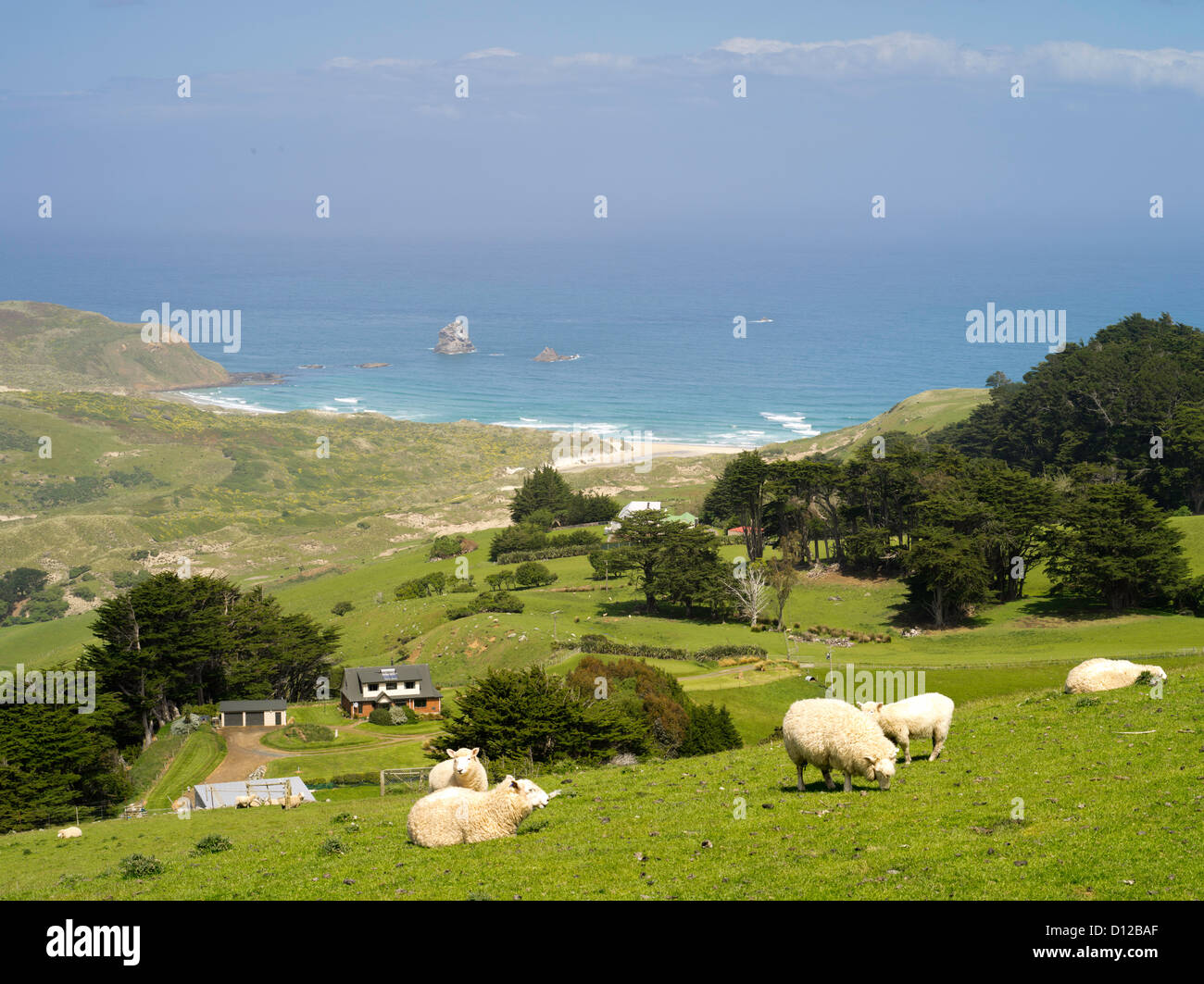 High Angle View Of Sandfly Beach And Bay From Highcliff Road On The Otago Peninsula Near