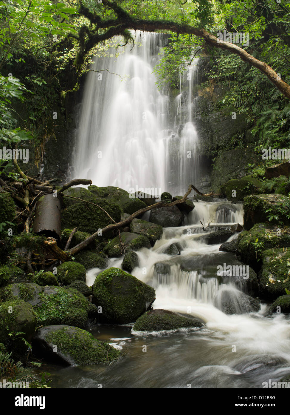View of Matai Falls, Catlins, Southland, New Zealand; October 2012 Stock Photo