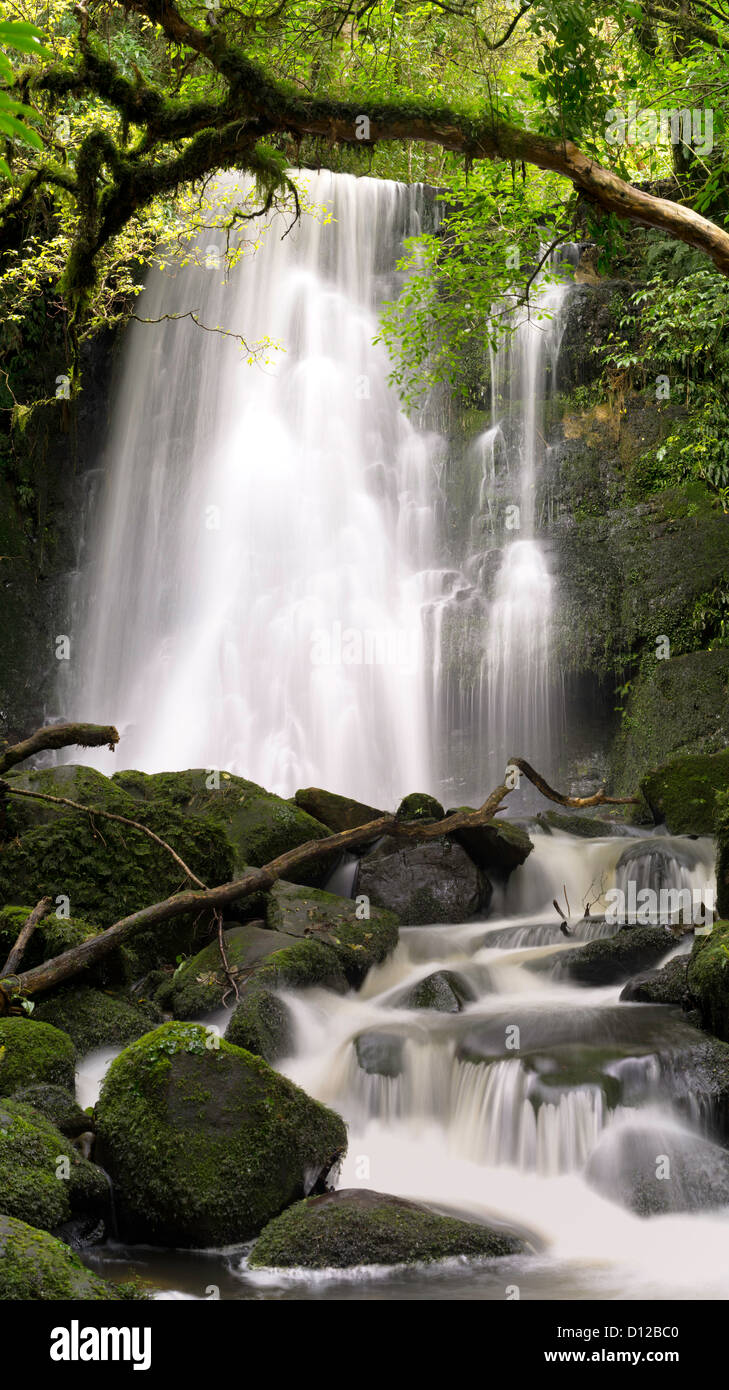 View of Matai Falls, Catlins, Southland, New Zealand; October 2012 Stock Photo