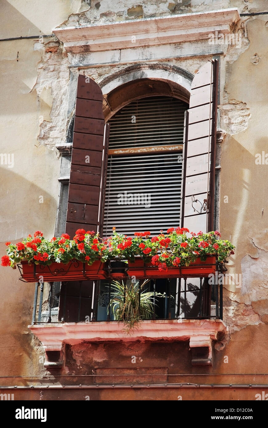 Flowers In A Window Box With Shutters Open; Venice Italy Stock Photo