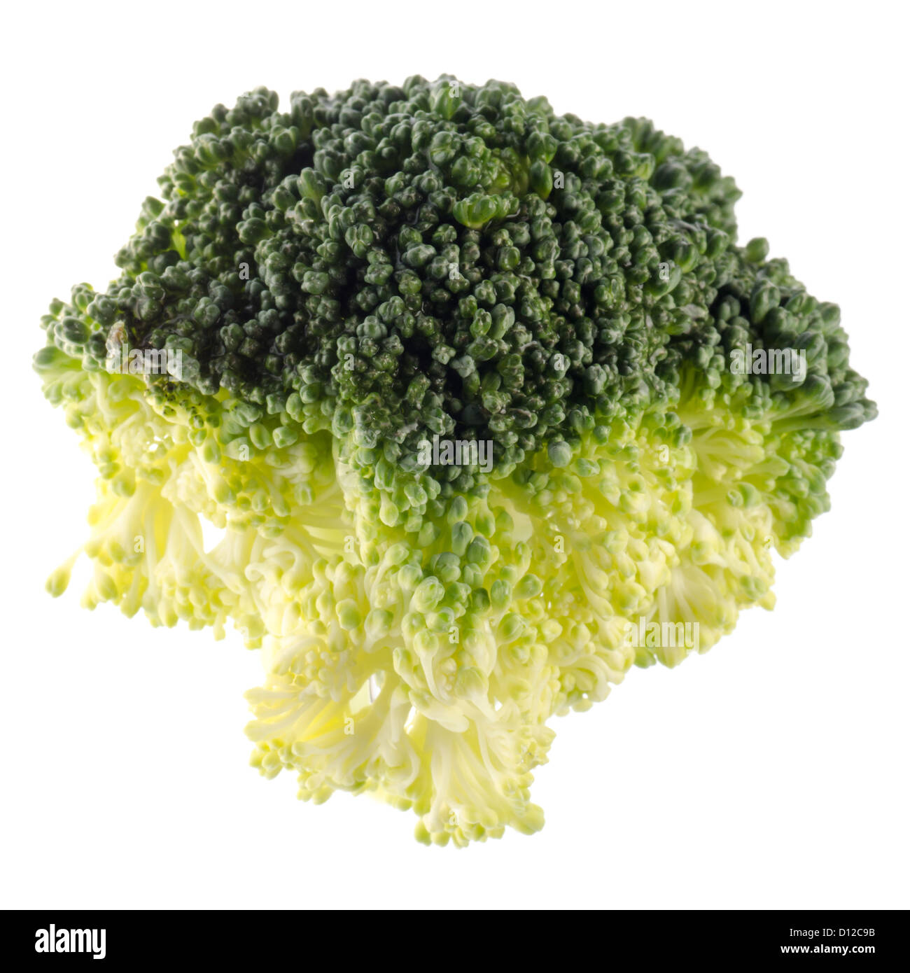 vegetable green broccoli isolated on white Stock Photo