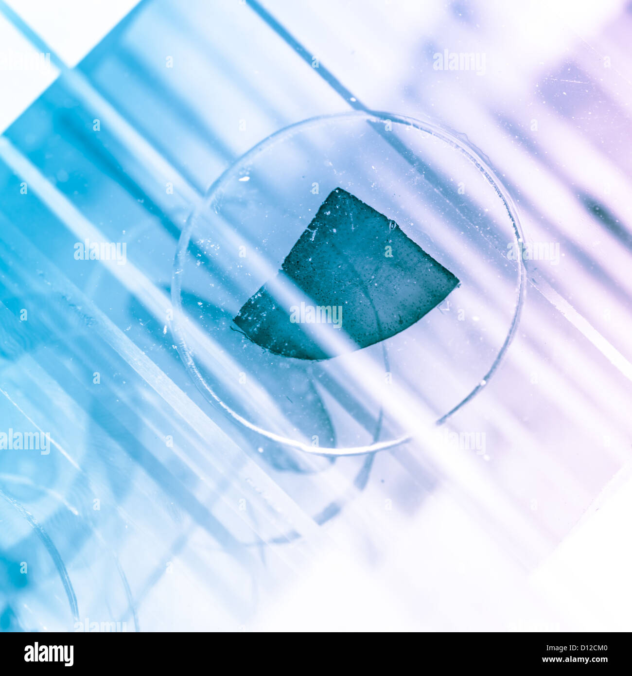 science medical glass microscope slide with sample Stock Photo Alamy