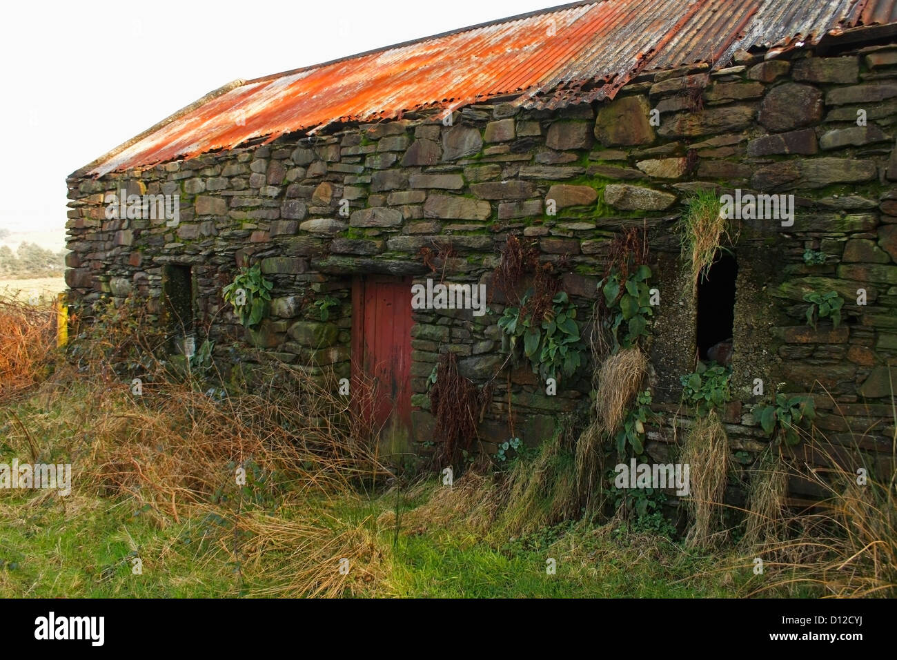 Stone Outhouse On Bere Island In West Cork; County Cork Ireland Stock Photo Alamy