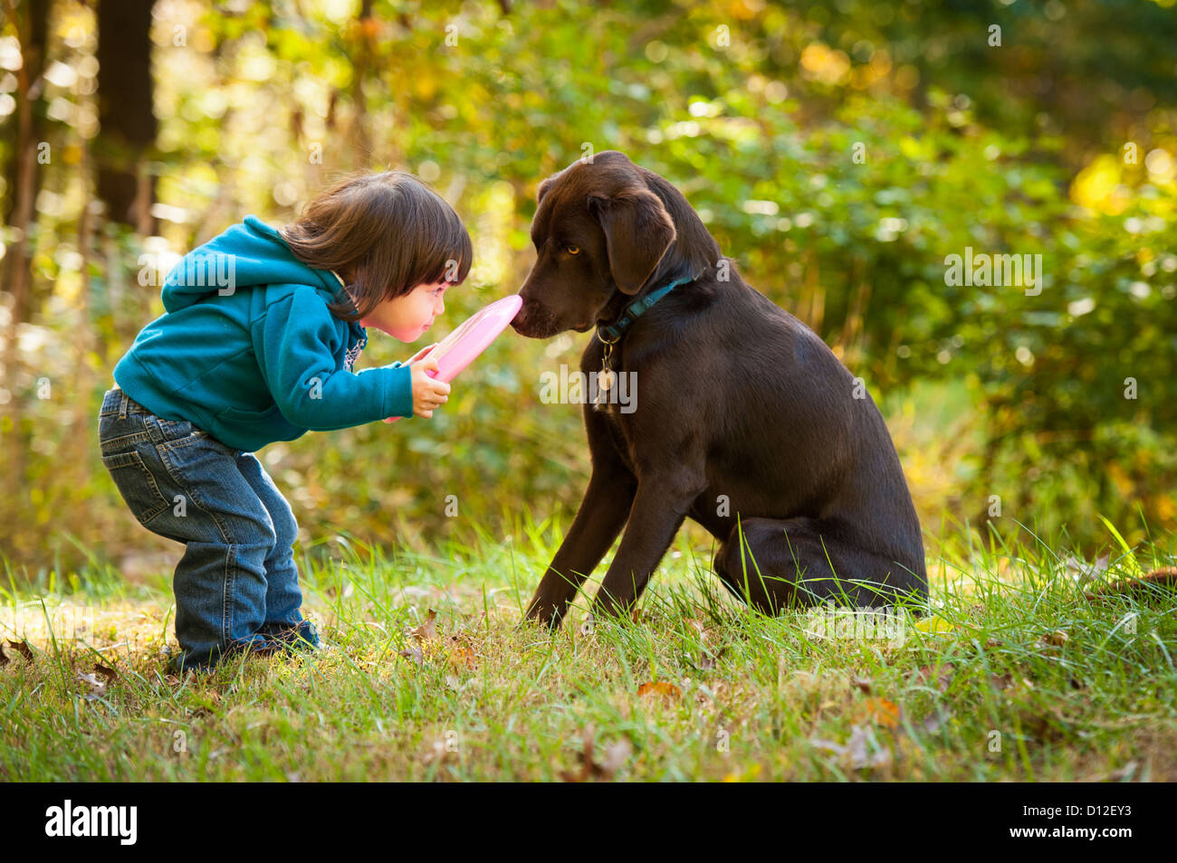 Young kid playing fetch game with dog and Frisbee Stock Photo