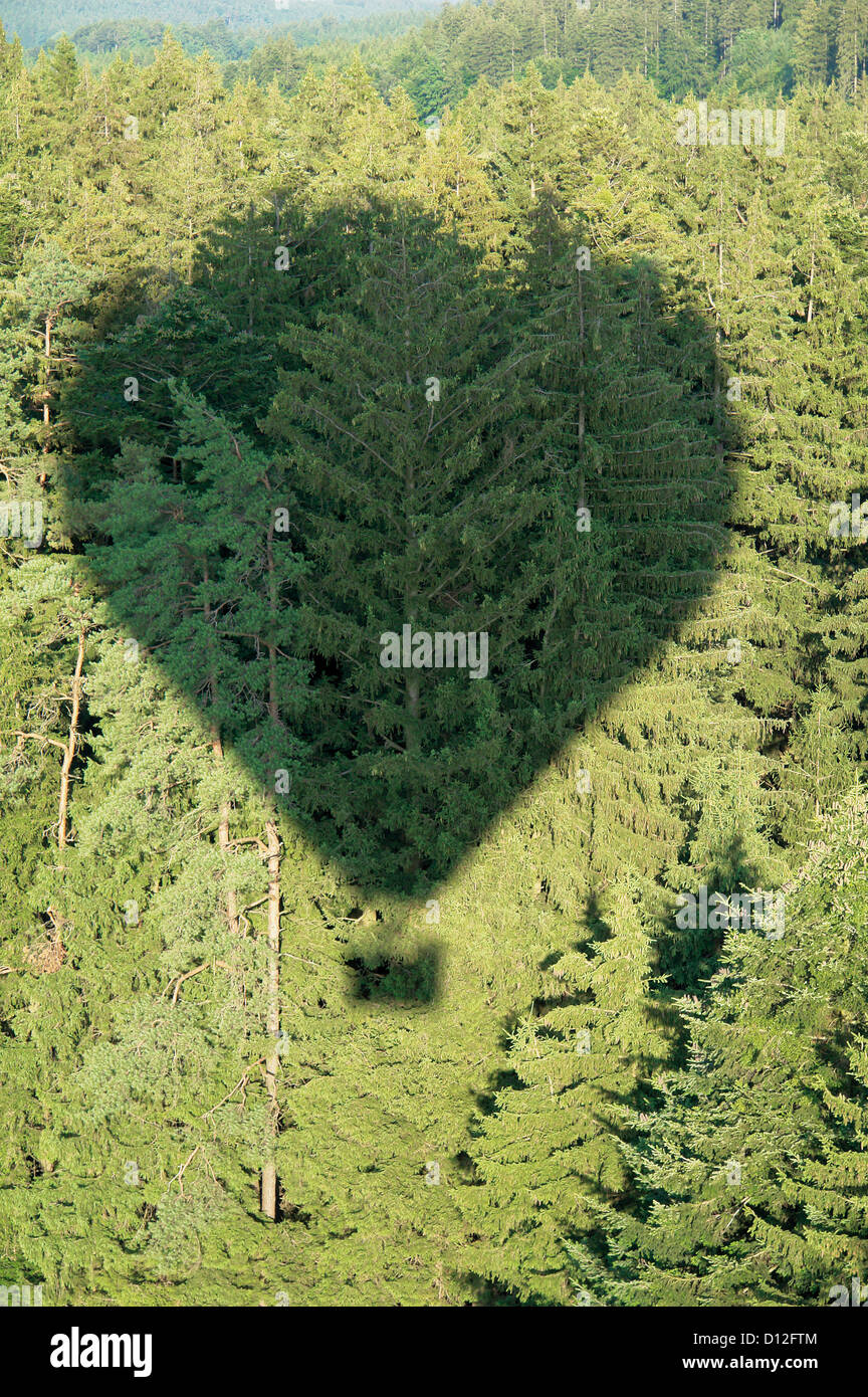 Germany, Shadow of hot air balloon over conifer forest Stock Photo