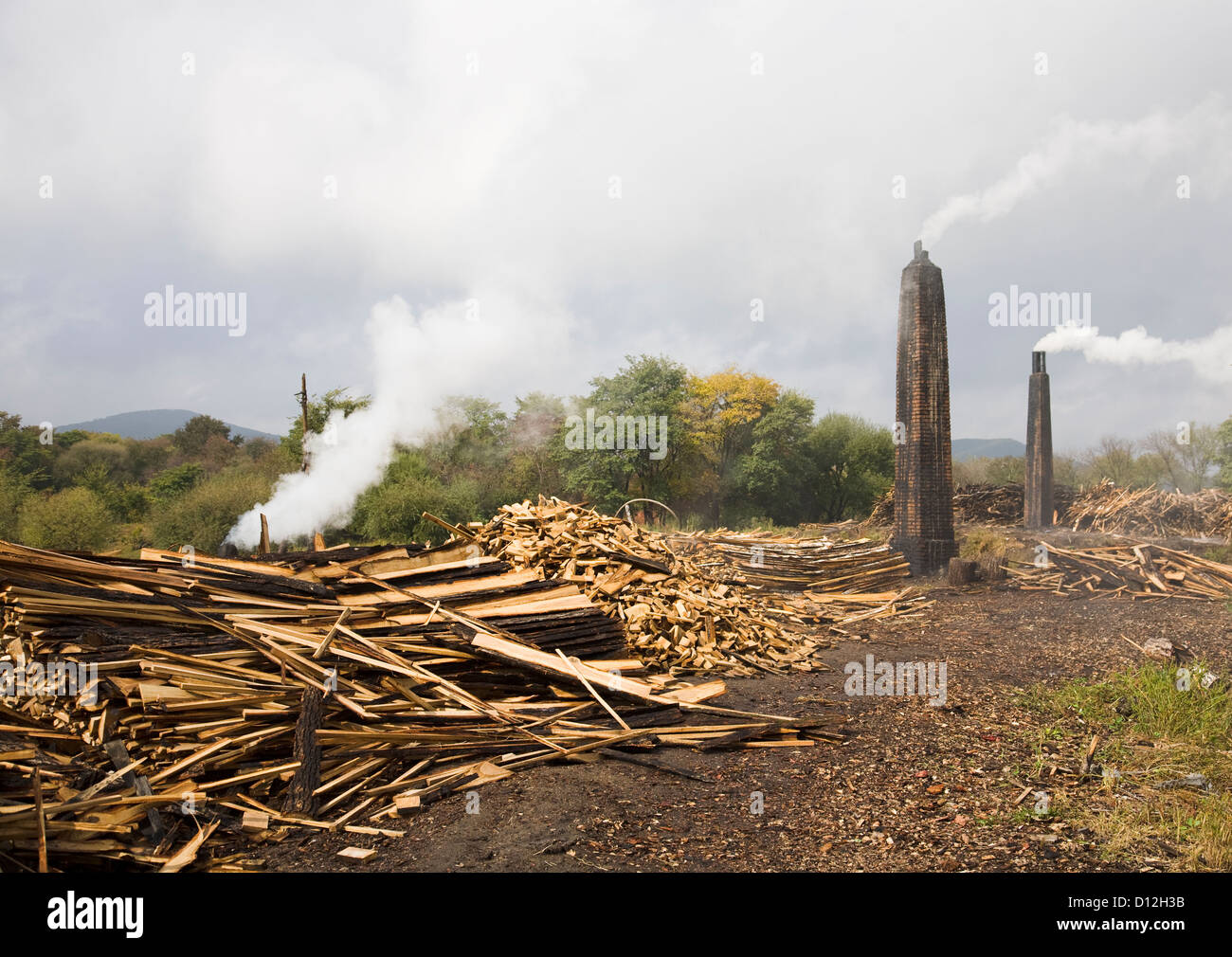 Deforestation and pollution Stock Photo