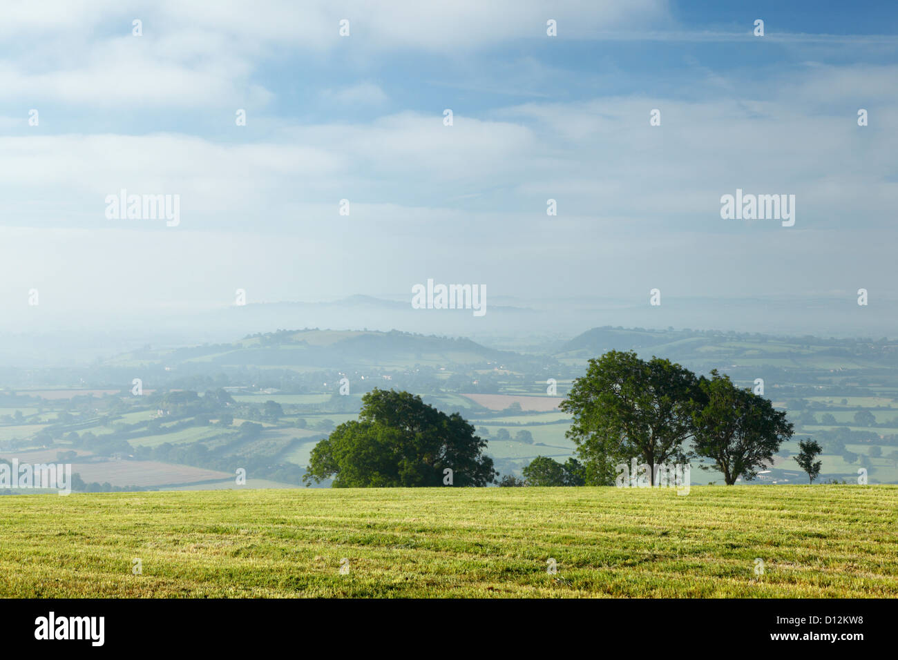 The Somerset Levels from Deerleap in The Mendip Hills. Somerset. England. UK. Stock Photo