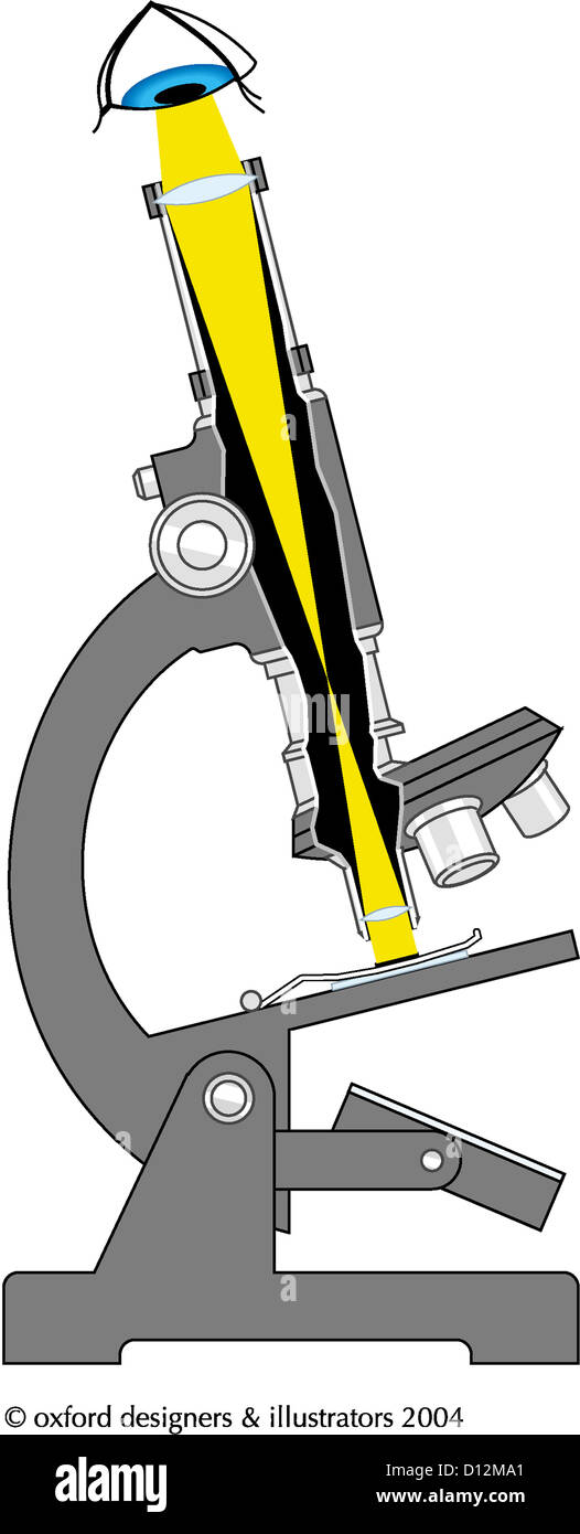 Zacharias janssen microscope hires stock photography and images Alamy