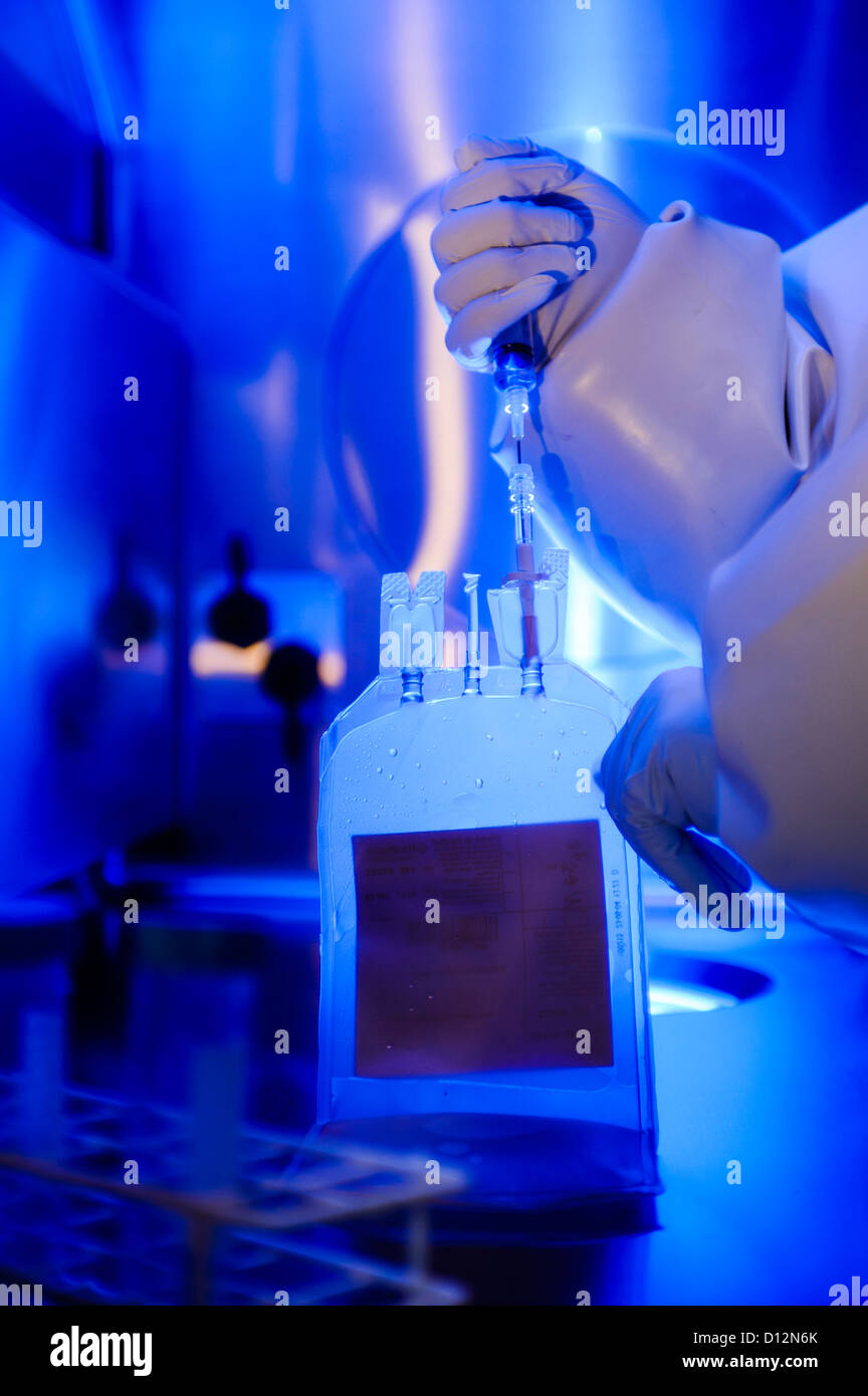 Scientist working with genetic human samples and cellular theraputics blood plasma bag in a sterile sealed fume cupboard Stock Photo