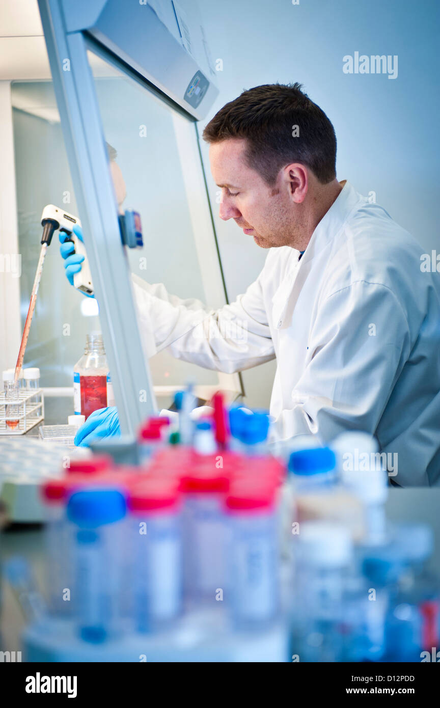 Male scientist sat at fume cupboard pipetting red liquid from flask into test tubes Stock Photo