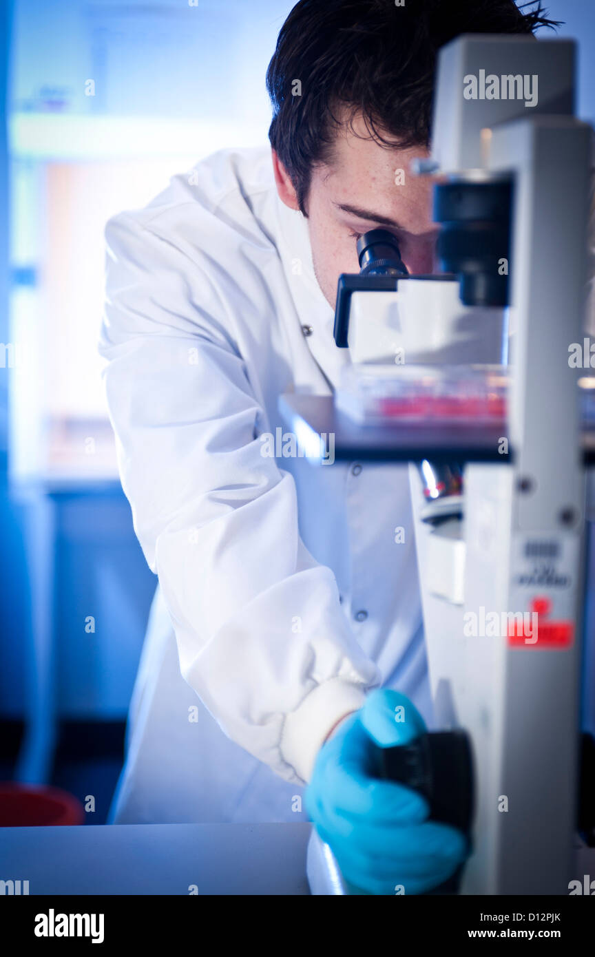 Young male scientist or technician uses a microscope in a science laboratory. Stock Photo