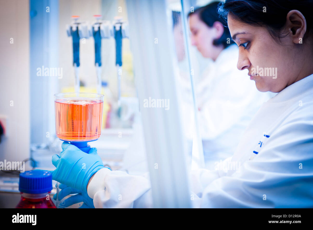 Female Asian scientist working with orange colored liquid in sample beakers at fume cupboard Stock Photo