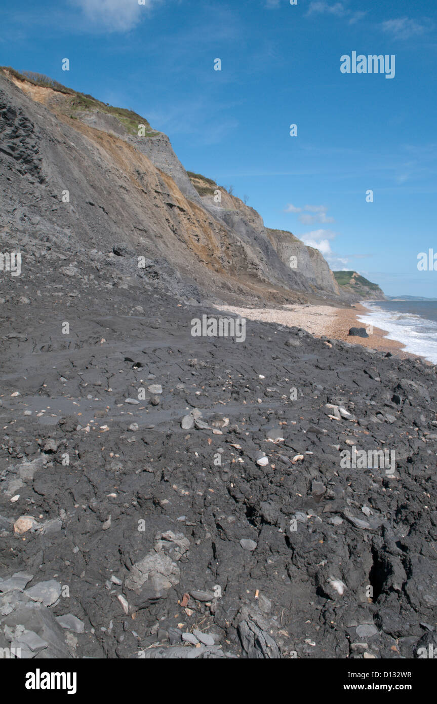 Rock fall and mudslides on soft cliffs at Charmouth, Dorset, UK. View east toward Golden Cap seen in distance. July. Stock Photo
