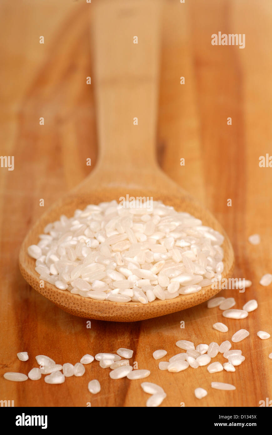 Spoonful of Italian Carnaroli rice used for making risotto Stock Photo