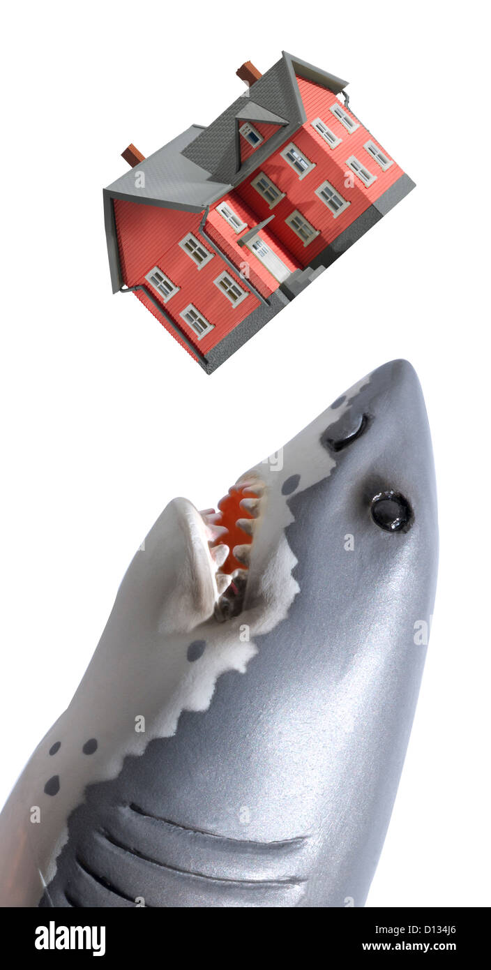 Great white shark about to eat a red house Stock Photo