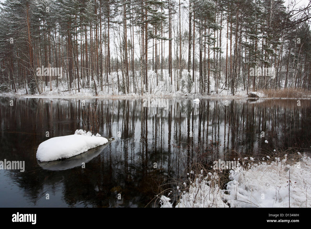 Early winter scene, Savitaipale Finland Stock Photo