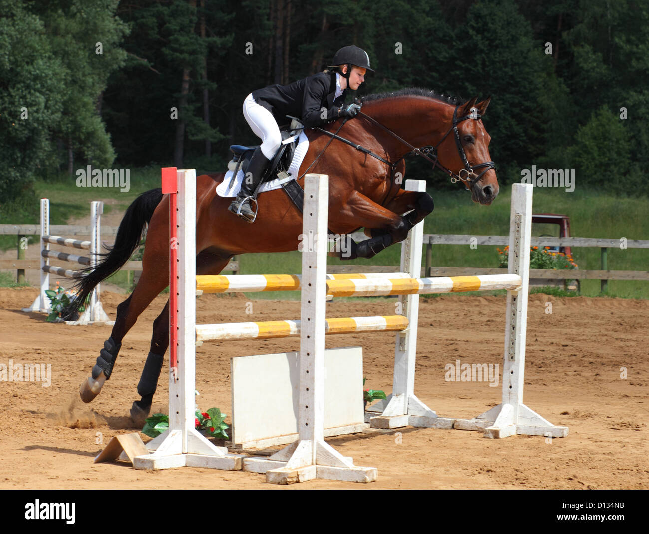 Horse and rider clear a show-jumping jump Stock Photo