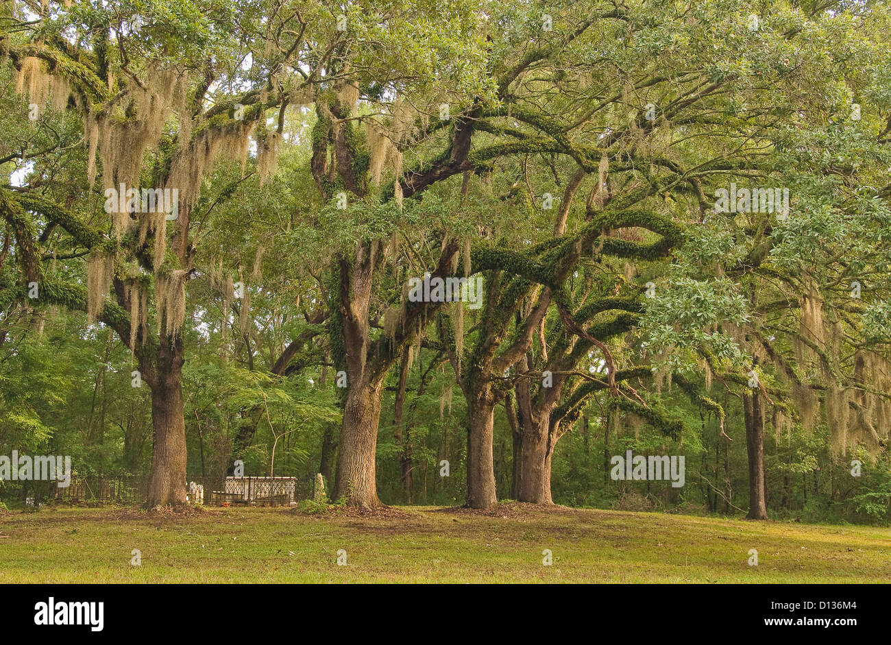 Natchez trace parkway national park hi-res stock photography and images ...