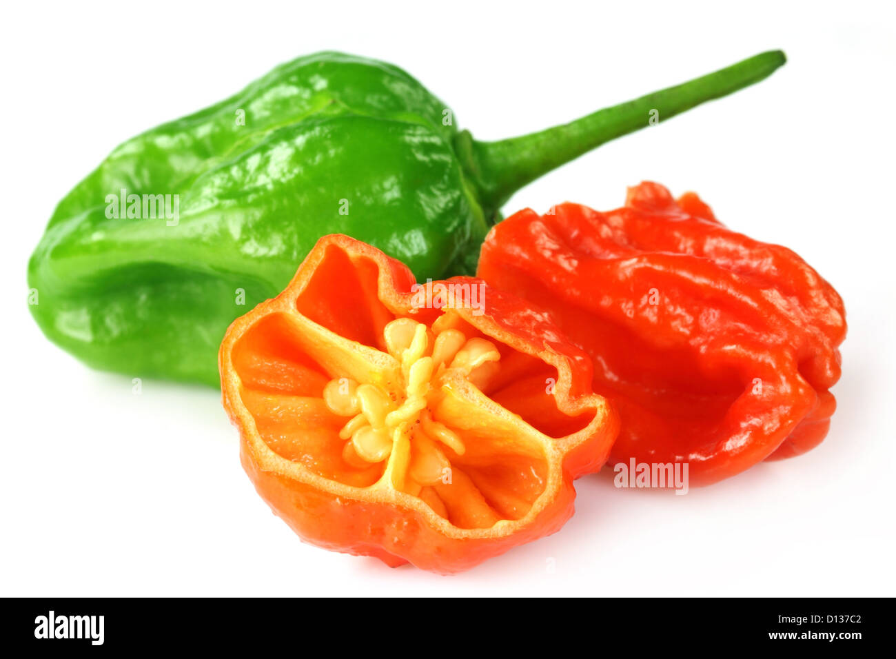 Bhut Jolokia chili pepper or the Naga Morich of Bangladesh Stock Photo